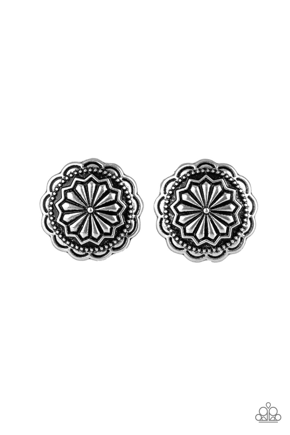 Durango Desert - Silver Earrings